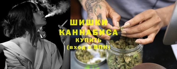 сатива Горняк