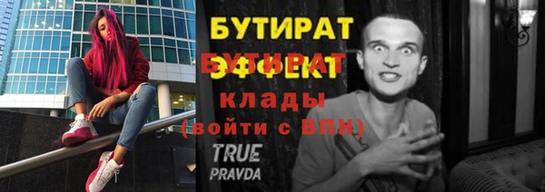 сатива Горняк