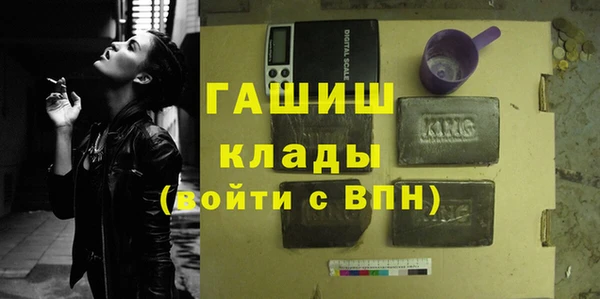 сатива Горняк