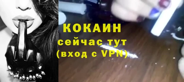 сатива Горняк