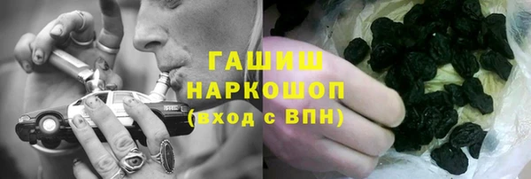 сатива Горняк