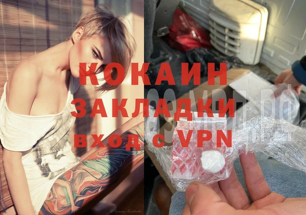 сатива Горняк