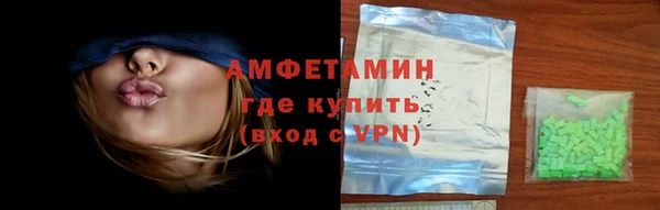 сатива Горняк