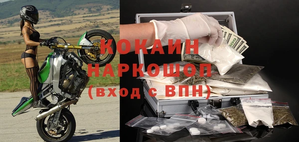 сатива Горняк