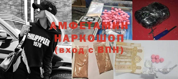 шишки Дмитриев