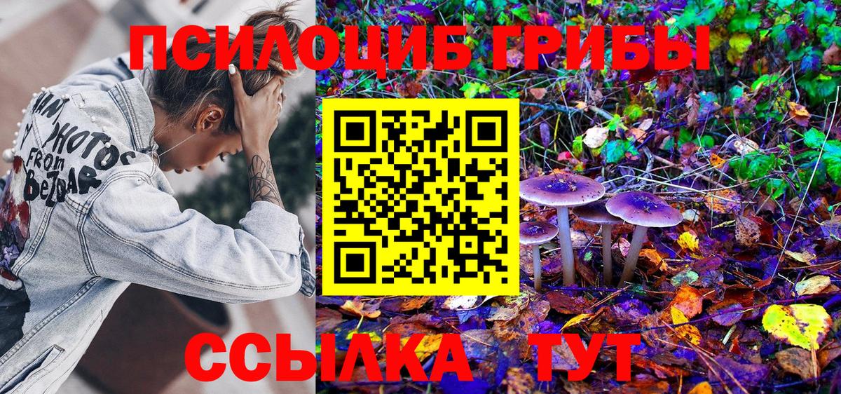 Псилоцибиновые грибы Magic Shrooms Дятьково