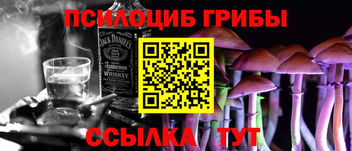 Галлюциногенные грибы MAGIC MUSHROOMS  Дятьково 