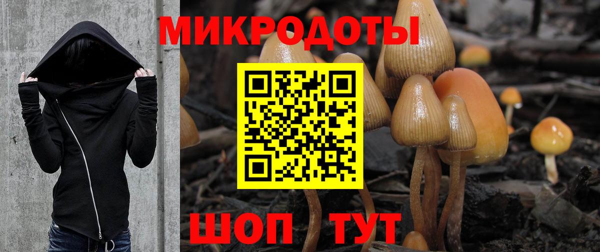 Галлюциногенные грибы MAGIC MUSHROOMS  Псилоцибиновые грибы Cubensis  Дятьково  Вход с VPN 