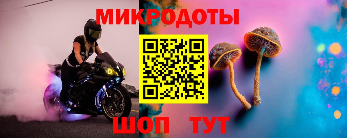 Галлюциногенные грибы Psilocybine cubensis Дятьково